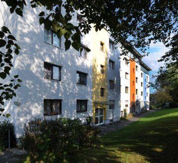 Modernisierte helle 2-Zimmer Wohnung in Dierdorf, 56269 Dierdorf, Wohnung